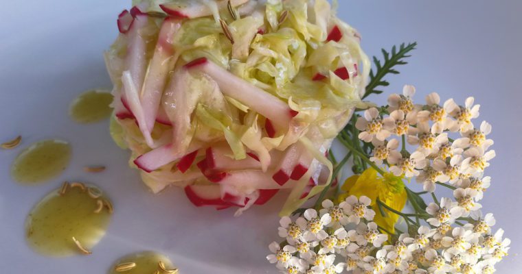 Insalatina di Cavolo Cappuccio all’aceto di Mele con Cumino e Tabasco