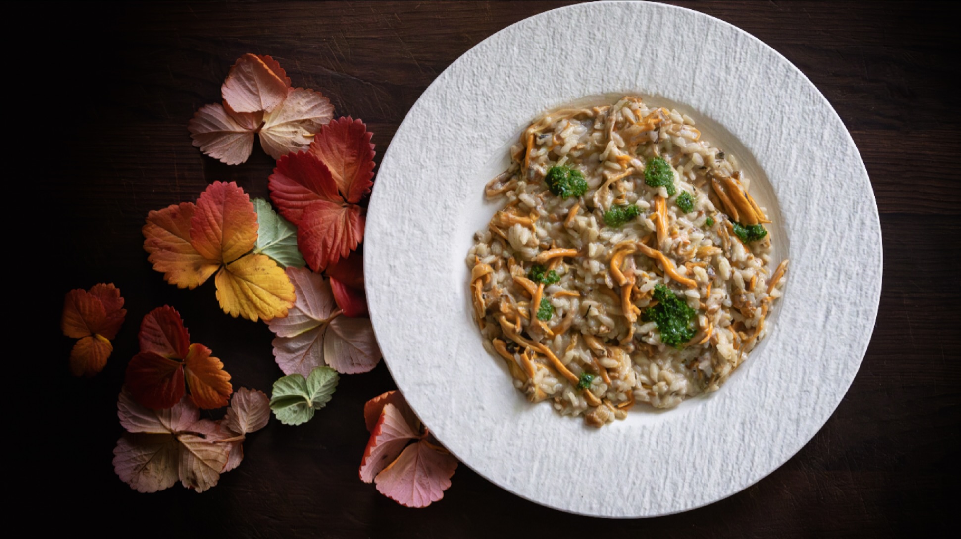 ʀɪsᴏᴛᴛᴏ ᴄᴏɴ ʟᴇ ғɪɴғᴇʀʟᴇ ᴇ ɪʟ ʟᴀʙɴᴇʜ ᴄᴏɴ ɢᴏᴄᴄᴇ ᴅɪ sᴀʟsᴀ ᴅɪ ᴘʀᴇᴢᴢᴇᴍᴏʟᴏ👉Ecco qui la ricetta che vi avevano promesso ieri, quando vi abbiamo mostrato il nostro bottino di Finferle appena arrivate nella nostra cucina. Ci siamo lasciati ancora una volta incantare dai colori che solo questa stagione così magica può regalare e abbiamo indugiato un pò di più nella fotografia, ma qui è il gusto del piatto a meritare davvero l’attenzione 🤩🤩🤩!Vi abbiamo già parlato ieri di questo fungo così poco conosciuto, delicatissimo e dal profumo inconfondibile. Però il bello - anzi il buono - di questa ricetta sta nell’uso della mantecatura con il formaggio fresco libanese, una azzardata quanto azzeccata contaminazione che gli regala quella leggera acidità e cremosità che fa la differenza. E che bella differenza 😎!A completare l’esercizio c’è l’ineguagliabile burro di latte fresco di montagna e due spezie, il pepe selvaggio del Madagascar e il Timo, che donano al piatto un profumo delizioso e accentuano il retrogusto così particolare di questi funghi.Per ultimo, abbiamo voluto aggiungere a piccole macchie un pesto finissimo di Prezzemolo, Aglio e Pepe, per spezzare a tratti la delicatezza dell’assaggio con una sferzata di sapore sul palato, per poi poter riprendere a mangiare con maggior piacere.👩🏻🍳🧑🏻🍳Una ricetta che, secondo noi, non stonerebbe anche in una cucina non amatoriale, anche se 🤔 il costo di una portata sarebbe leggermente alto per via della ricercatezza dell’ingrediente principale, che mal si presta ad essere processato se non per piccole quantità e appena raccolto.🤷♂️Insomma, se volte gustare questa specialità avrete solo una chance : procurarvi un pò di Finferle fresche e correre in cucina a leggere la nostra ricetta e passare una bellissima mezz’ora immersi nei profumi e nei colori di questo splendido autunno tra le montagne del Tirolo.Per tutto il resto c’è Mastercard 😉😆🙋♀️🙋♂️#finferle #finferlefresche #risotto #sudtirol #rezepte