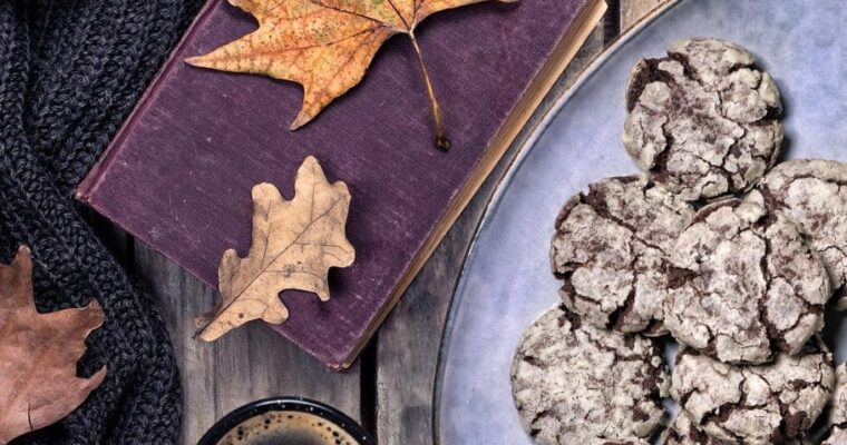 Chocolate Crinkle Cookies aka i biscotti più cioccolatosi del mondo